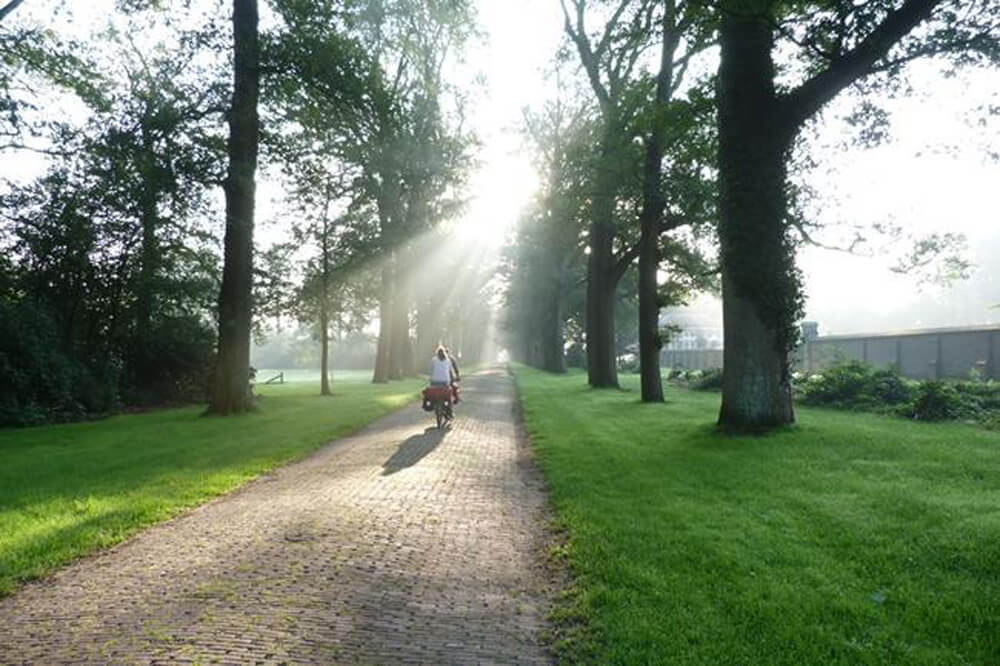 Bike riding down path