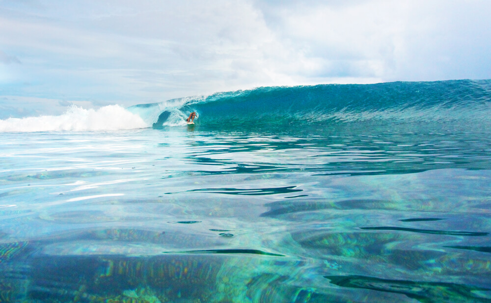 Liz Clark surfing