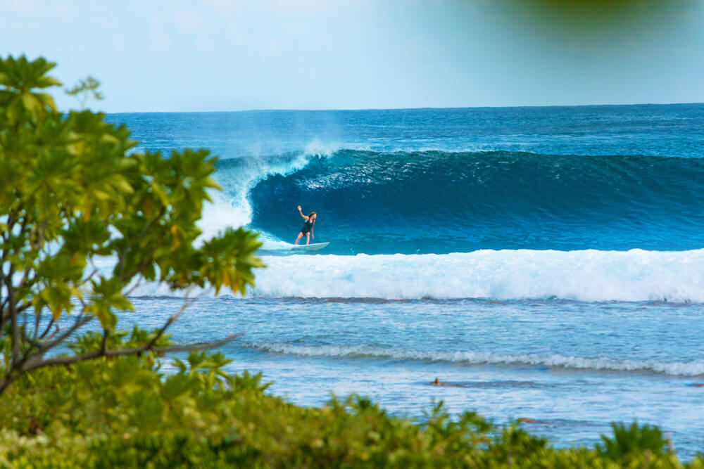 Liz Clark surfing