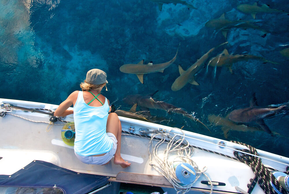 Liz Clark on boat with sharks in the water
