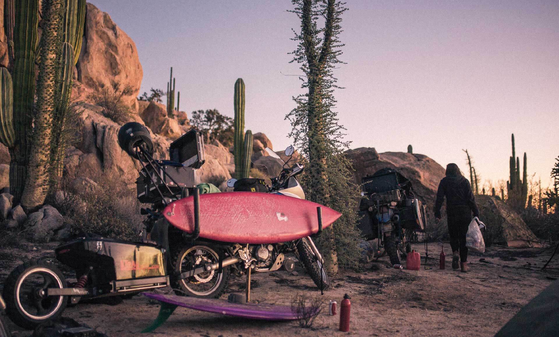 Smorgasboarder Magazine issue 59