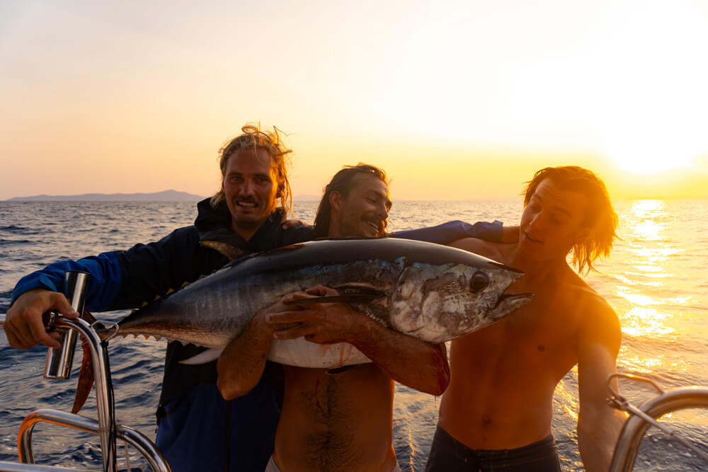 The search for revelry sailing adventure