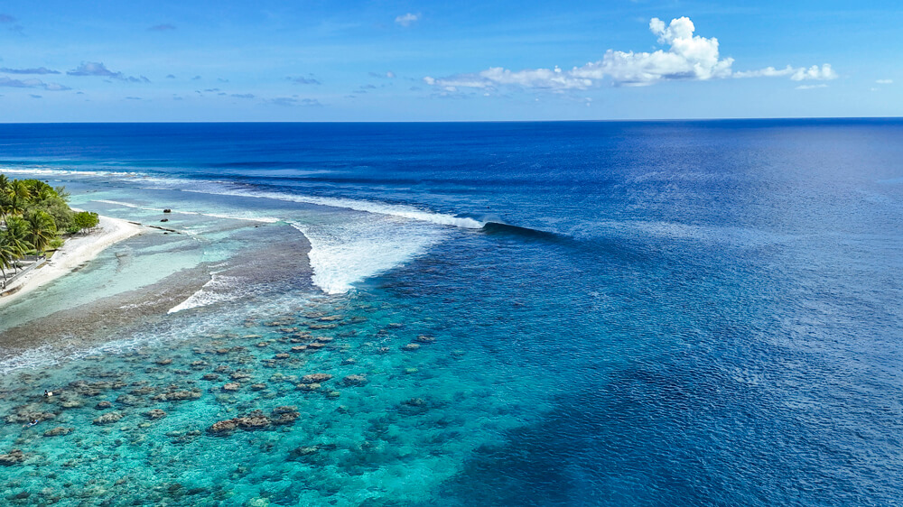 The search for revelry sailing adventure