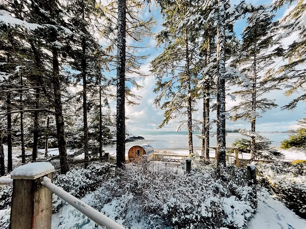 Tofino