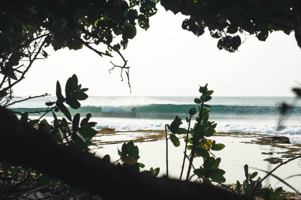 Tom de souza surfing